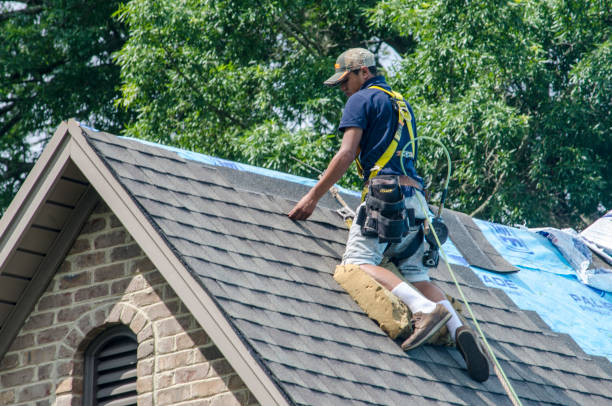 Quick and Trustworthy Emergency Roof Repair Services in Olton, TX